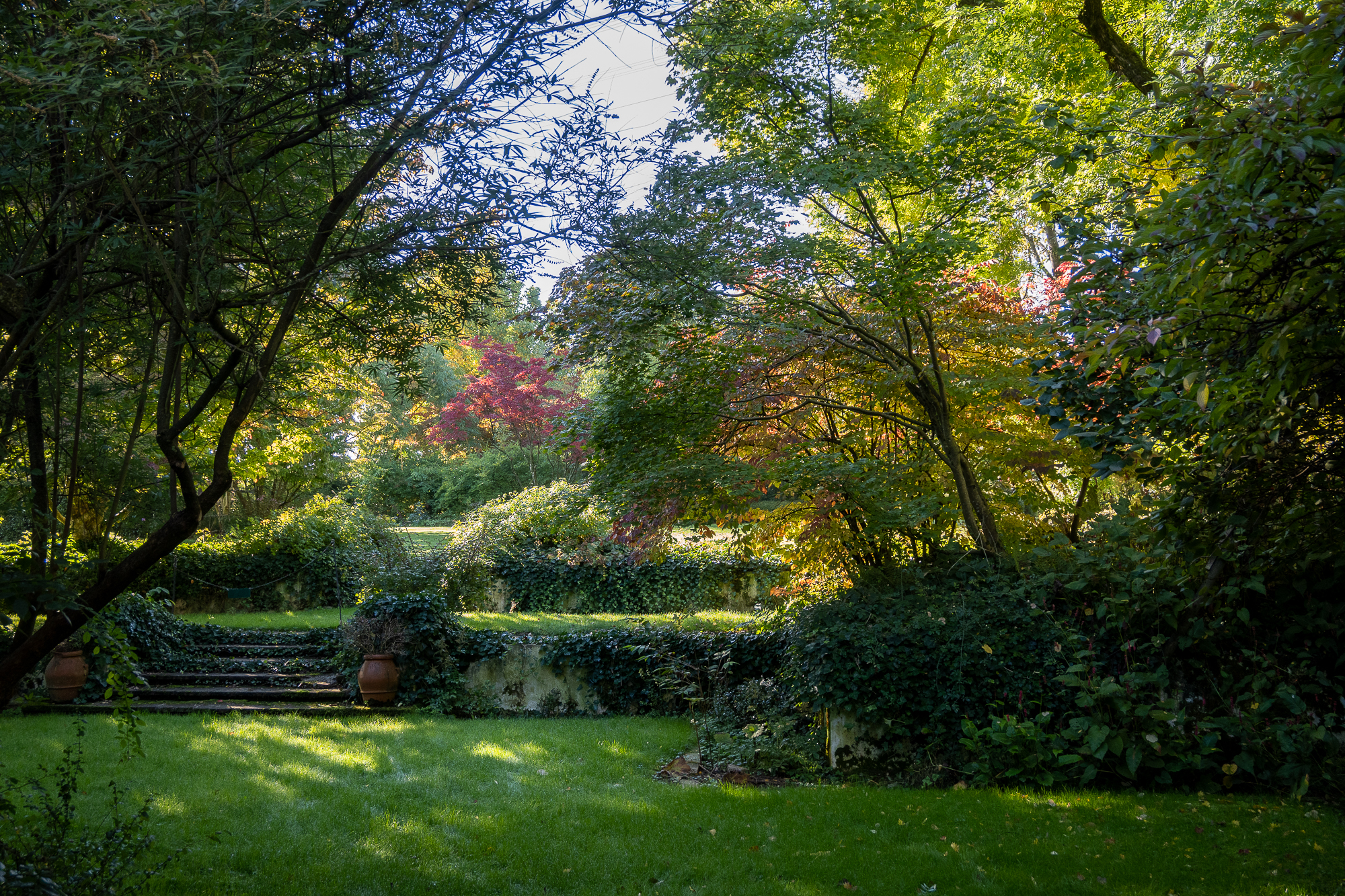 Blick auf einen Garten mit vielen unterschiedlichen Bäumen in Herbstfärbung