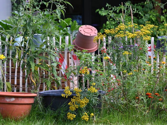 Bauerngarten