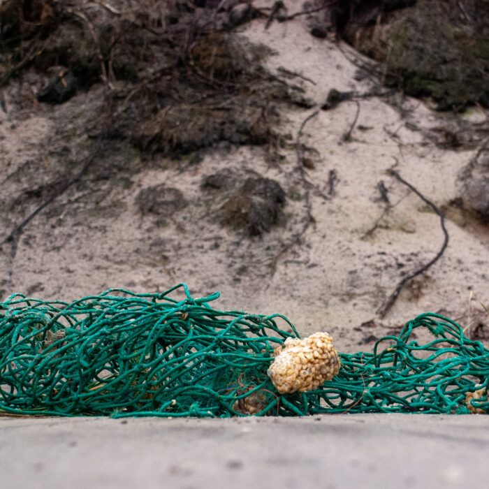Netz am Strand