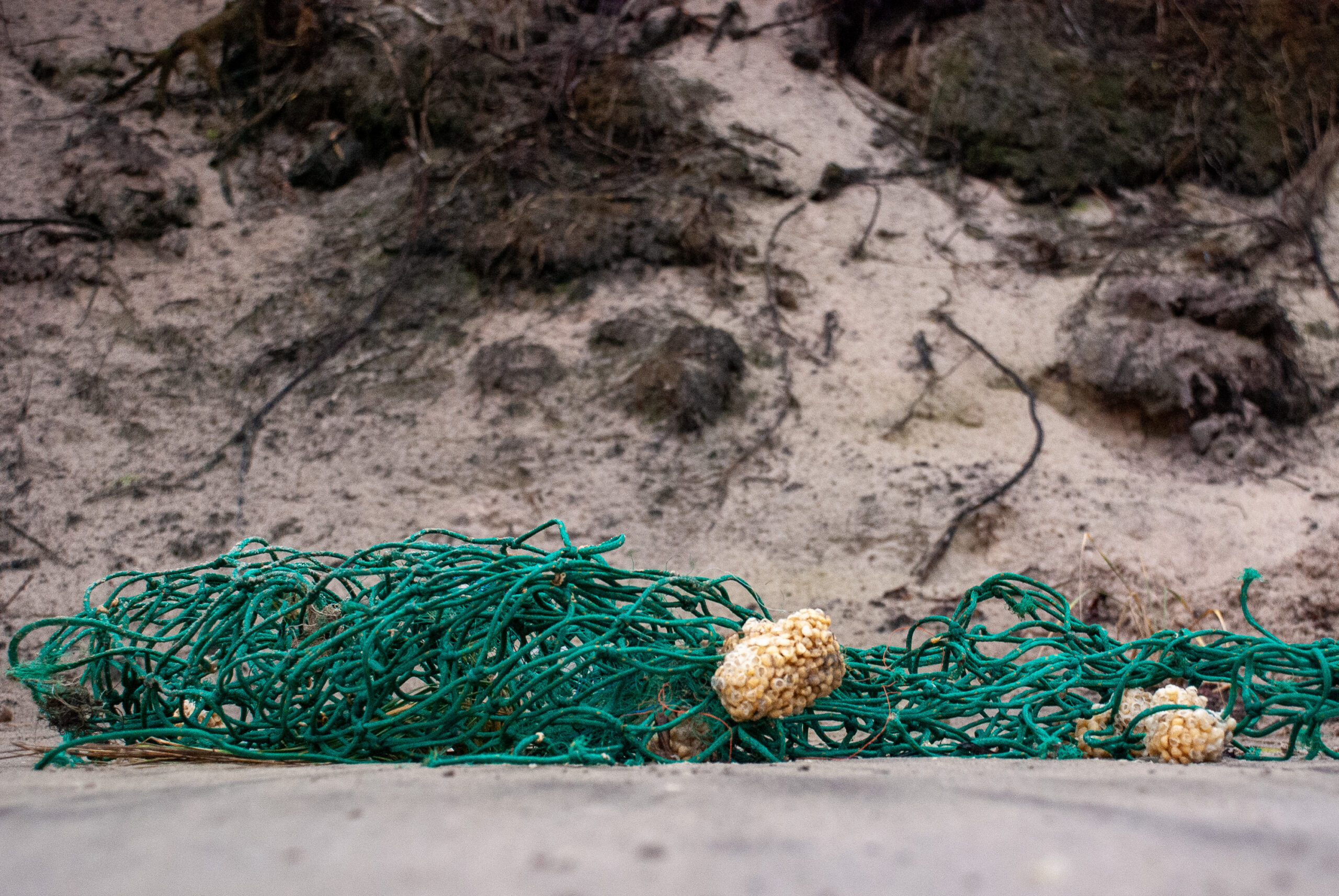 Netz am Strand