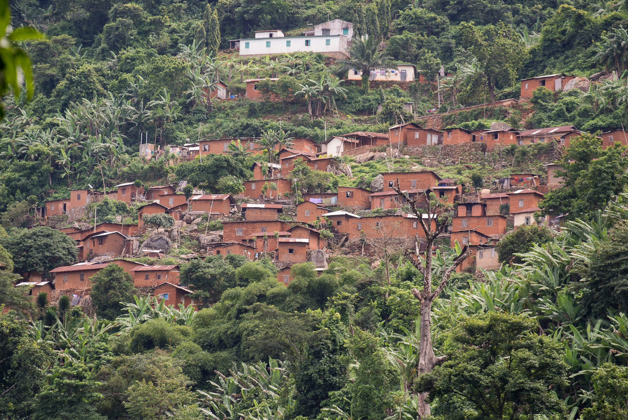 Mont Agou