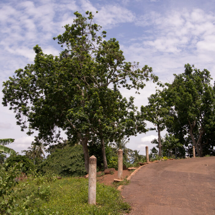 Kurve auf einer Straße am Mont Agou in der Nähe von Kpalimé in Togo