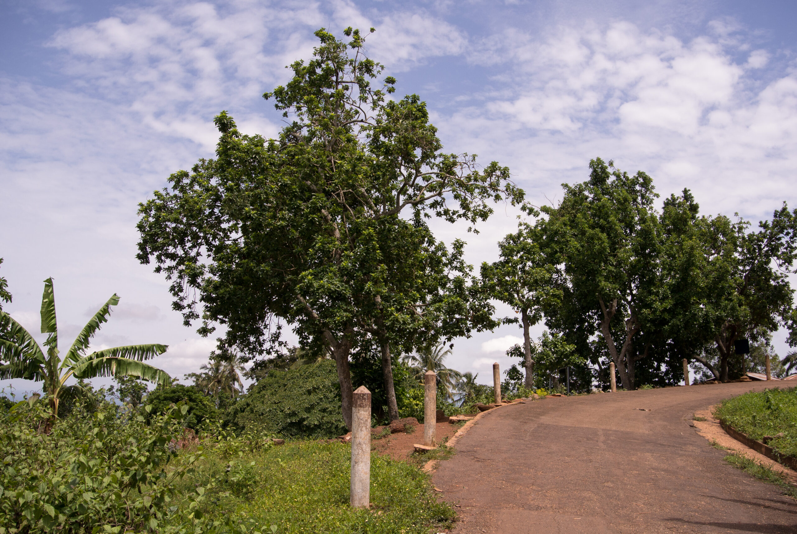 Kurve auf einer Straße am Mont Agou in der Nähe von Kpalimé in Togo