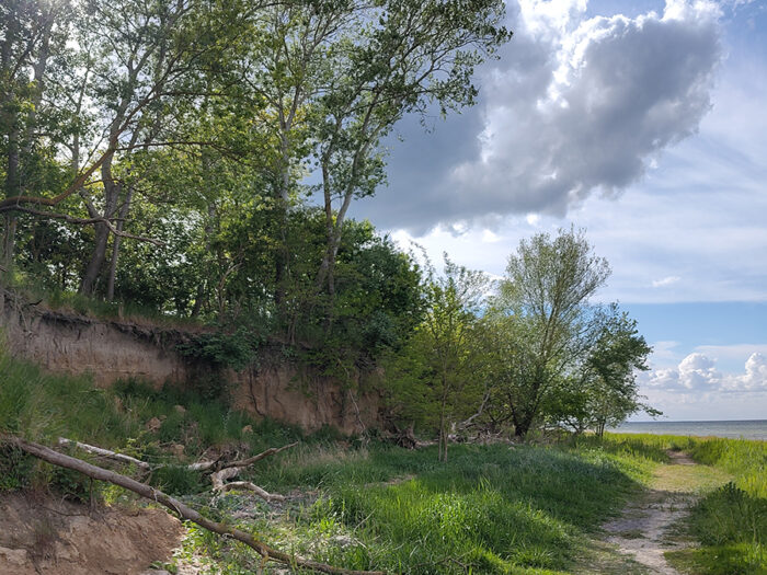 Küste bei Hohen Wieschendorf/Mecklenburg