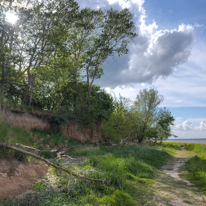 Küste bei Hohen Wieschendorf/Mecklenburg