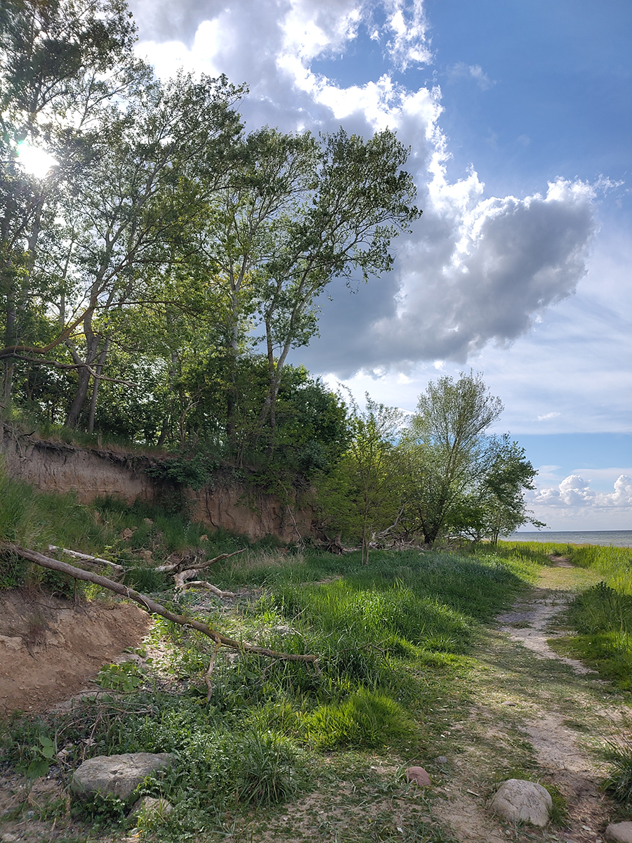Küste bei Hohen Wieschendorf/Mecklenburg