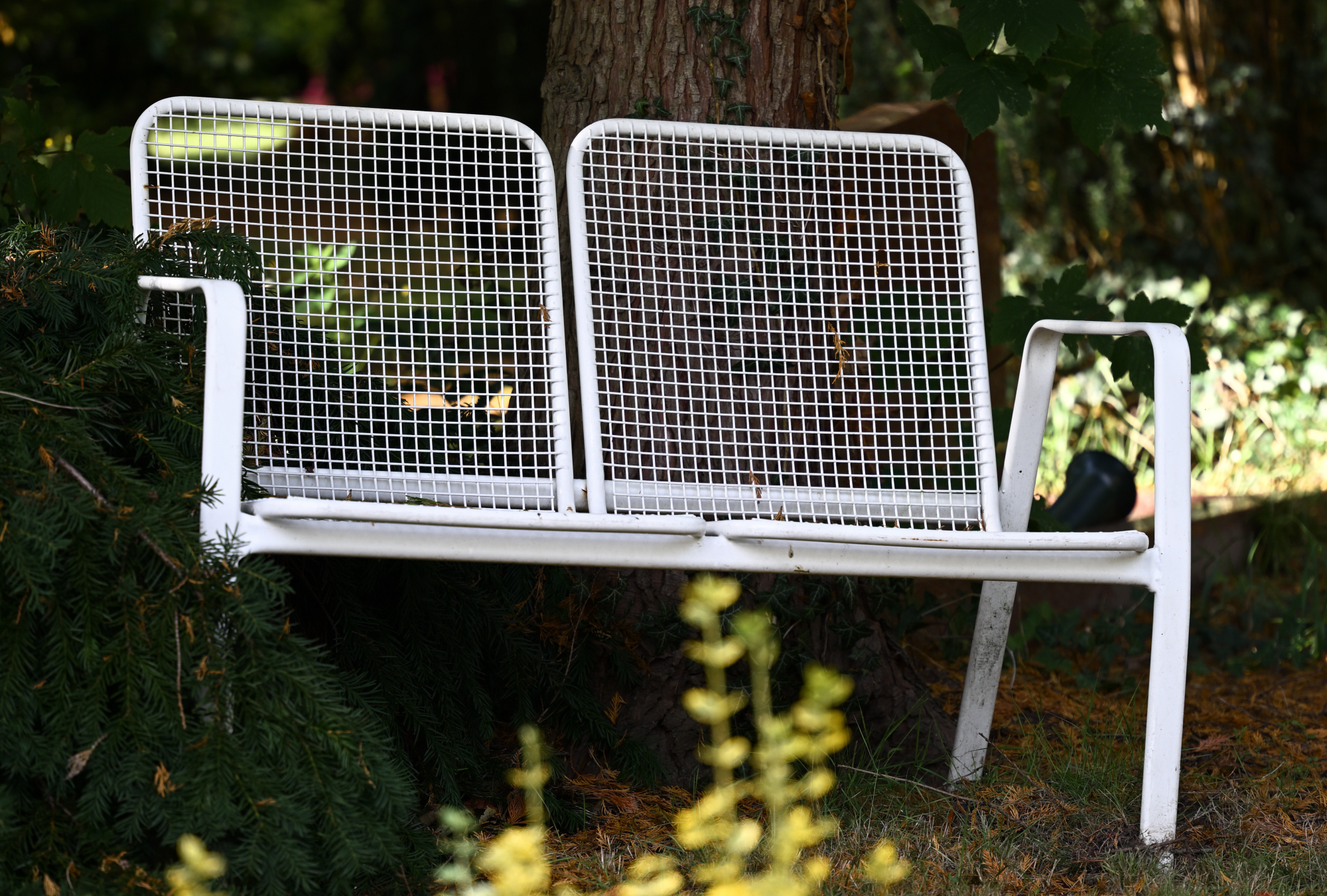 Sitzbank aus Metall auf dem Vareler Friedhof