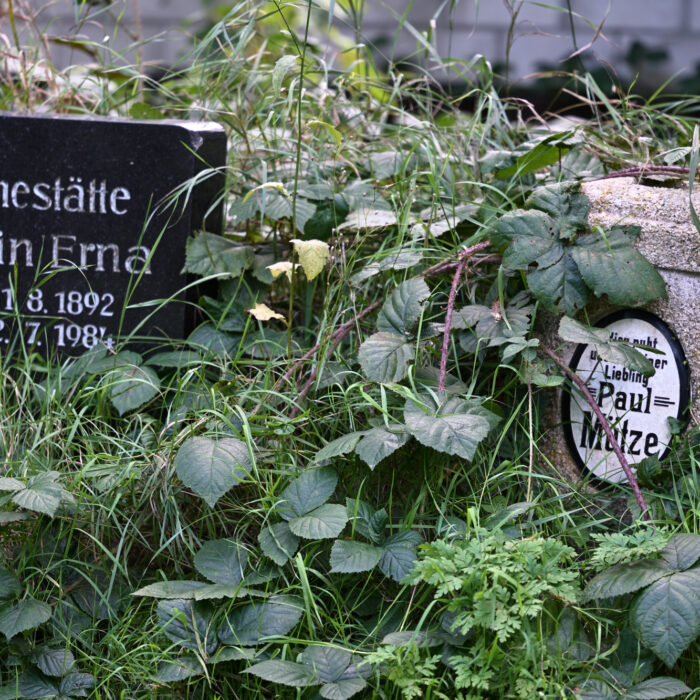 Grabsteine mit Inschriften "Klein Erna" und "Paul Mütze"