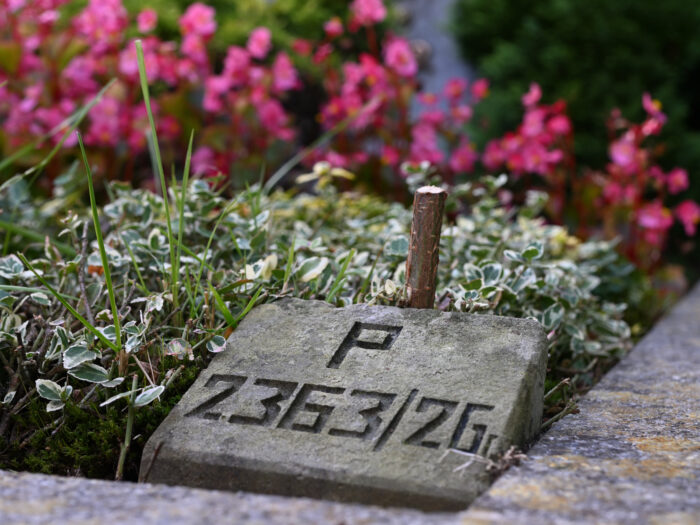 Stein mit Grabnummer auf dem Vareler Friedhof