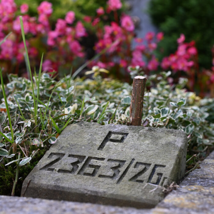 41 Stein mit Grabnummer auf dem Vareler Friedhof