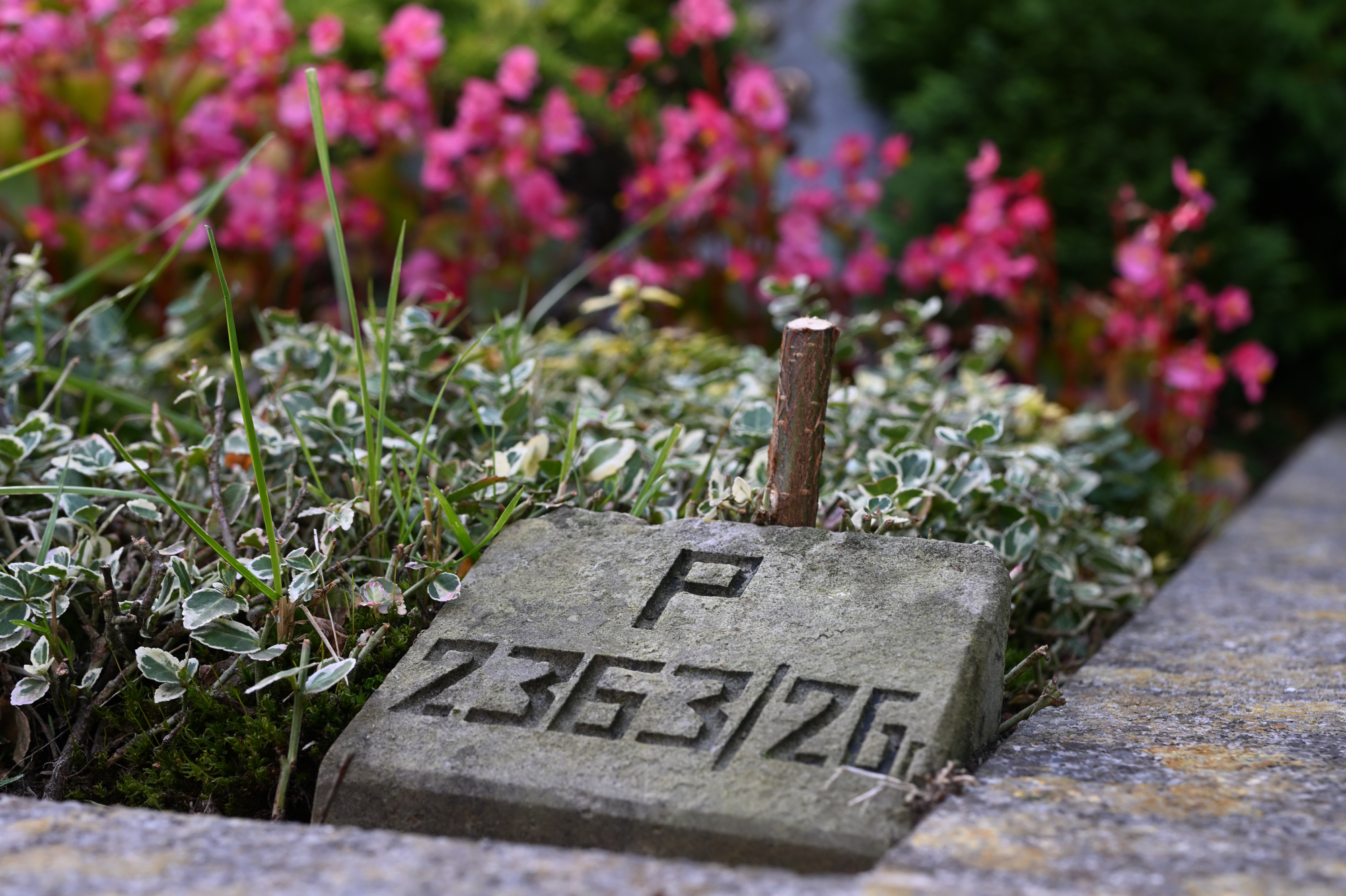 Stein mit Grabnummer auf dem Vareler Friedhof