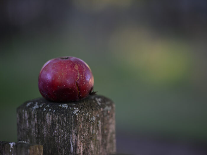 88 roter Apfel auf einem Pfosten liegend