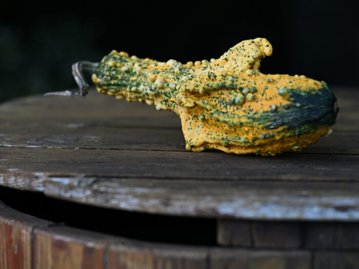 111 Zierkürbis auf einem Brunnendeckel aus Holz