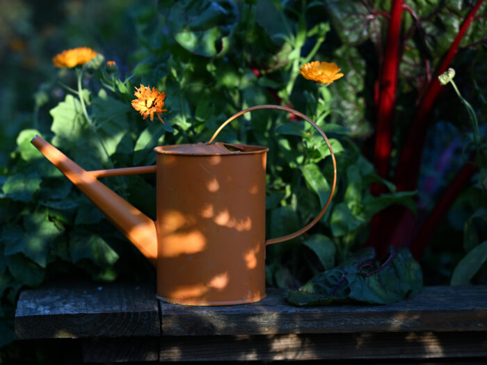 Gießkanne aus Metall vor Blumen