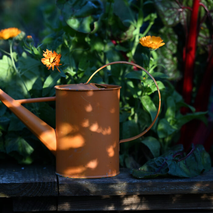 Gießkanne aus Metall vor Blumen
