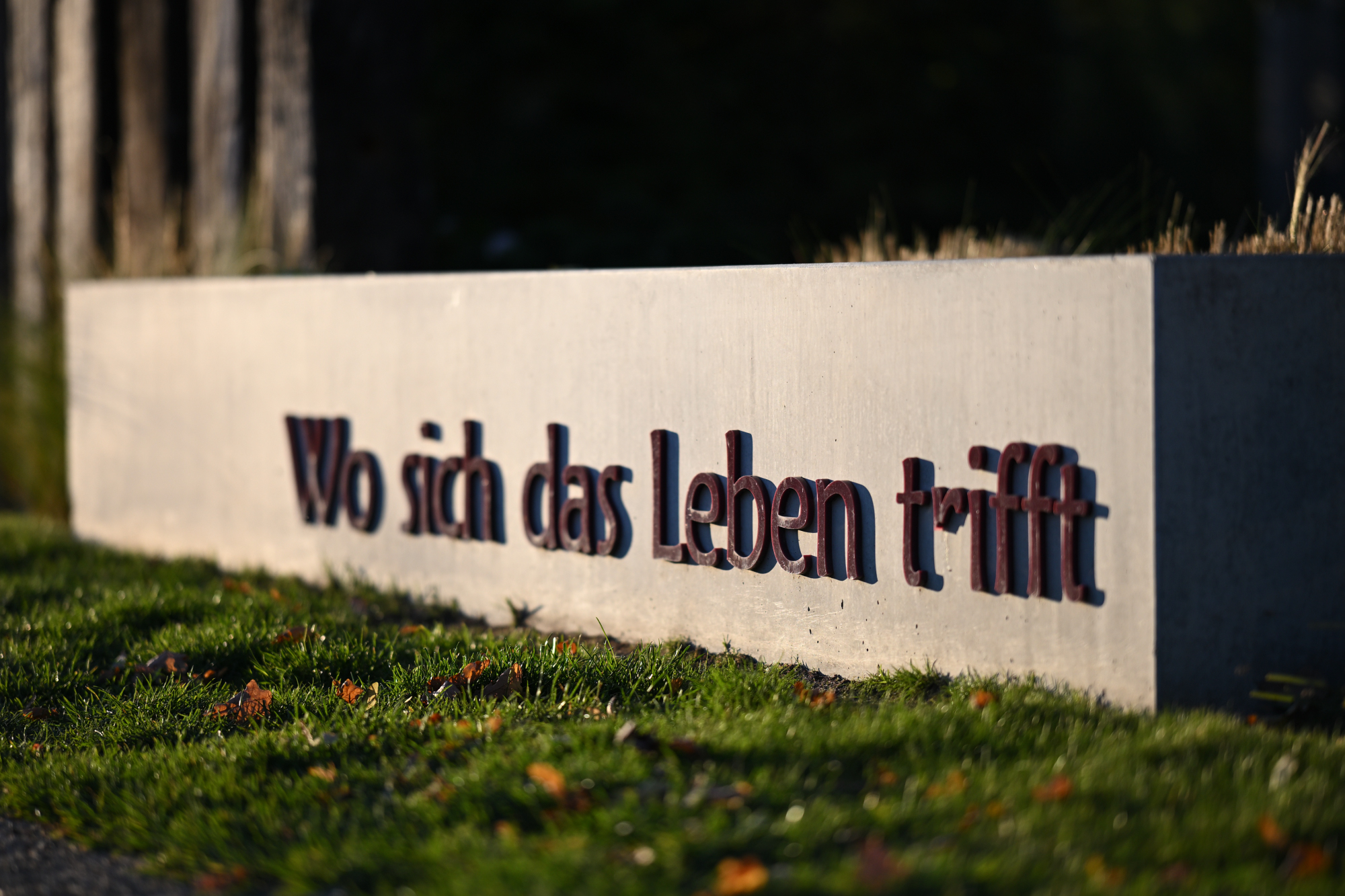 112 im Park der Gärten