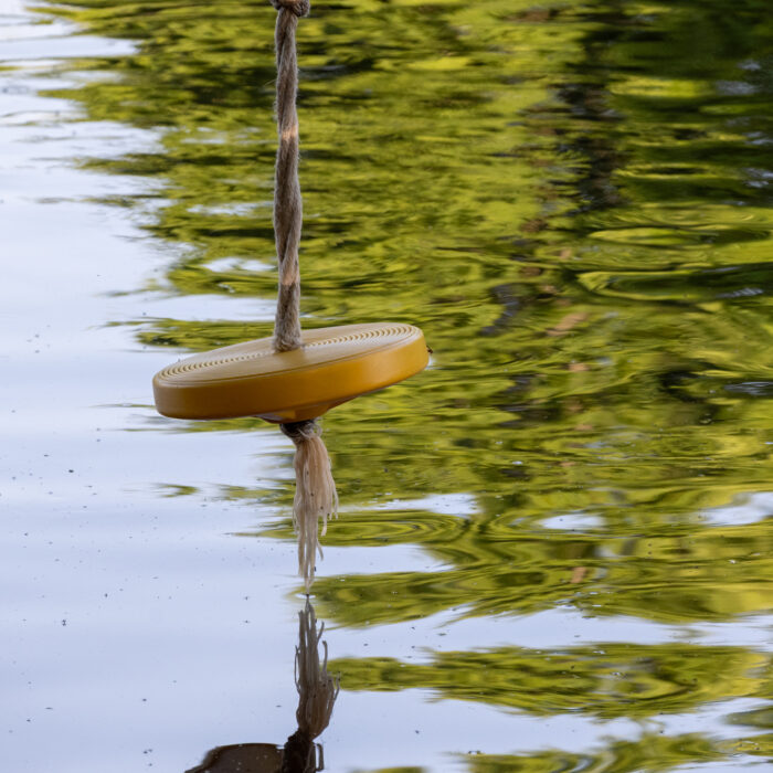 Rundschaukel, die über einem Gewässer schwebt