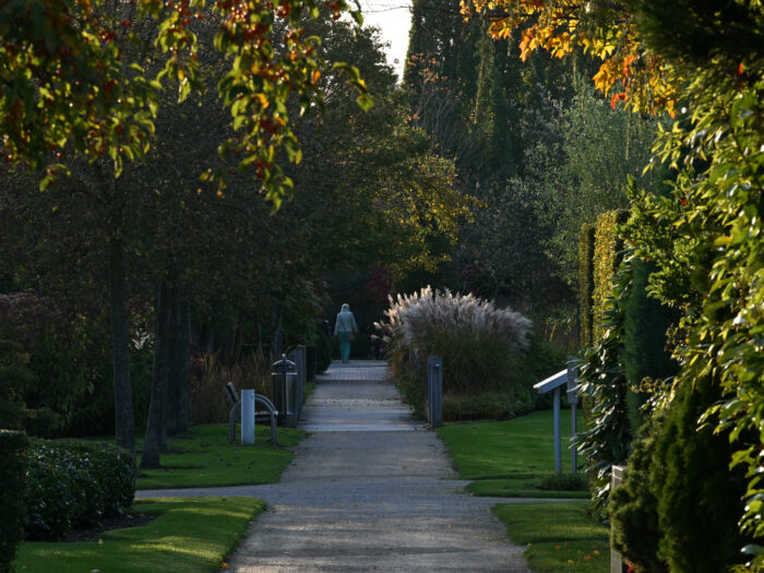 ein Weg im Park, am Ende läuft eine Person