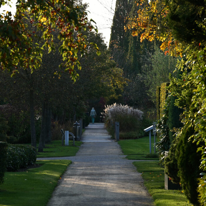 62 ein Weg im Park, am Ende läuft eine Person