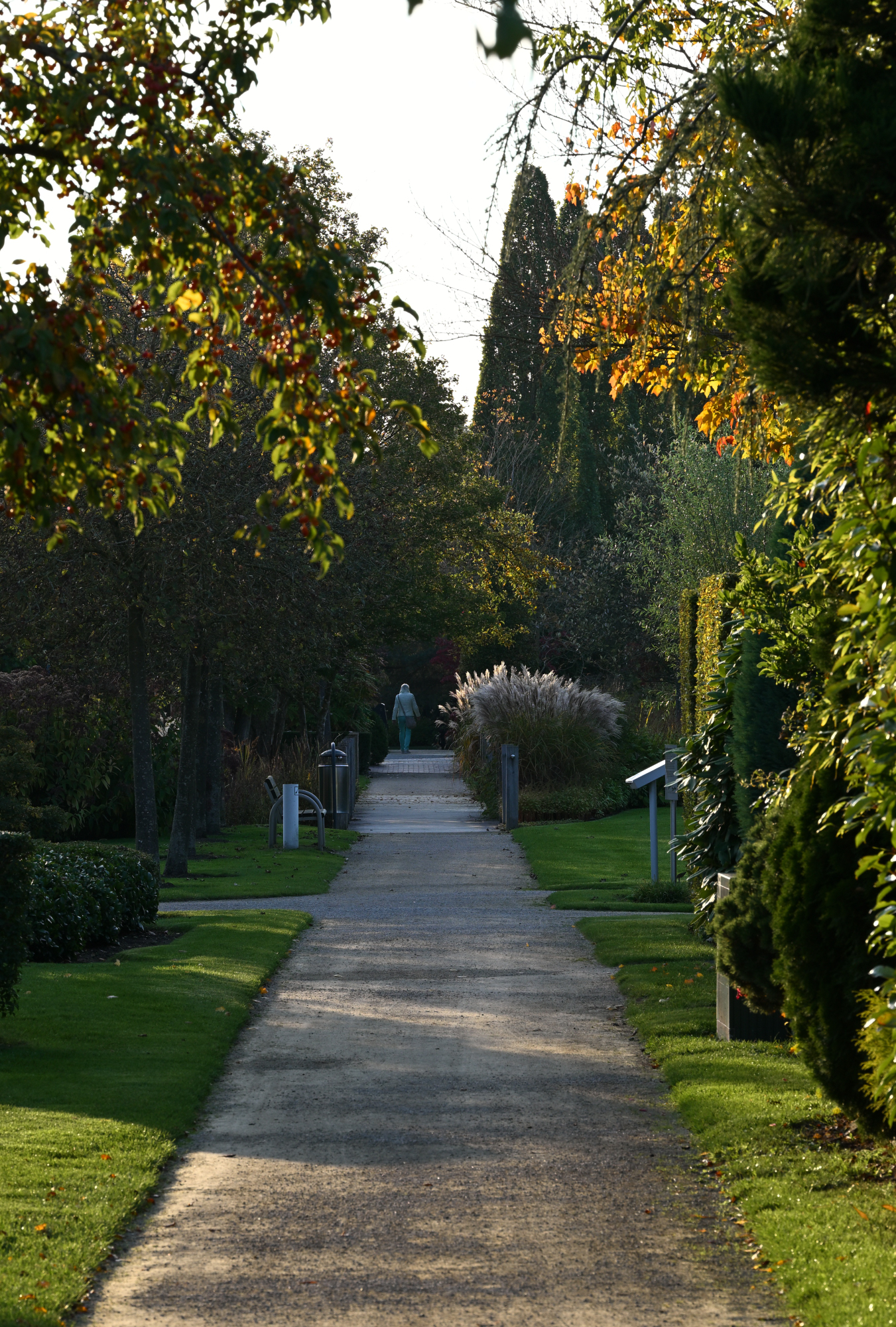ein Weg im Park, am Ende läuft eine Person