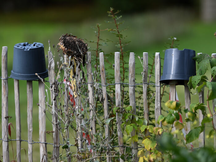 64 Gartenzaun im Herbst