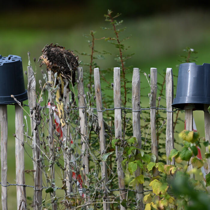 64 Gartenzaun im Herbst