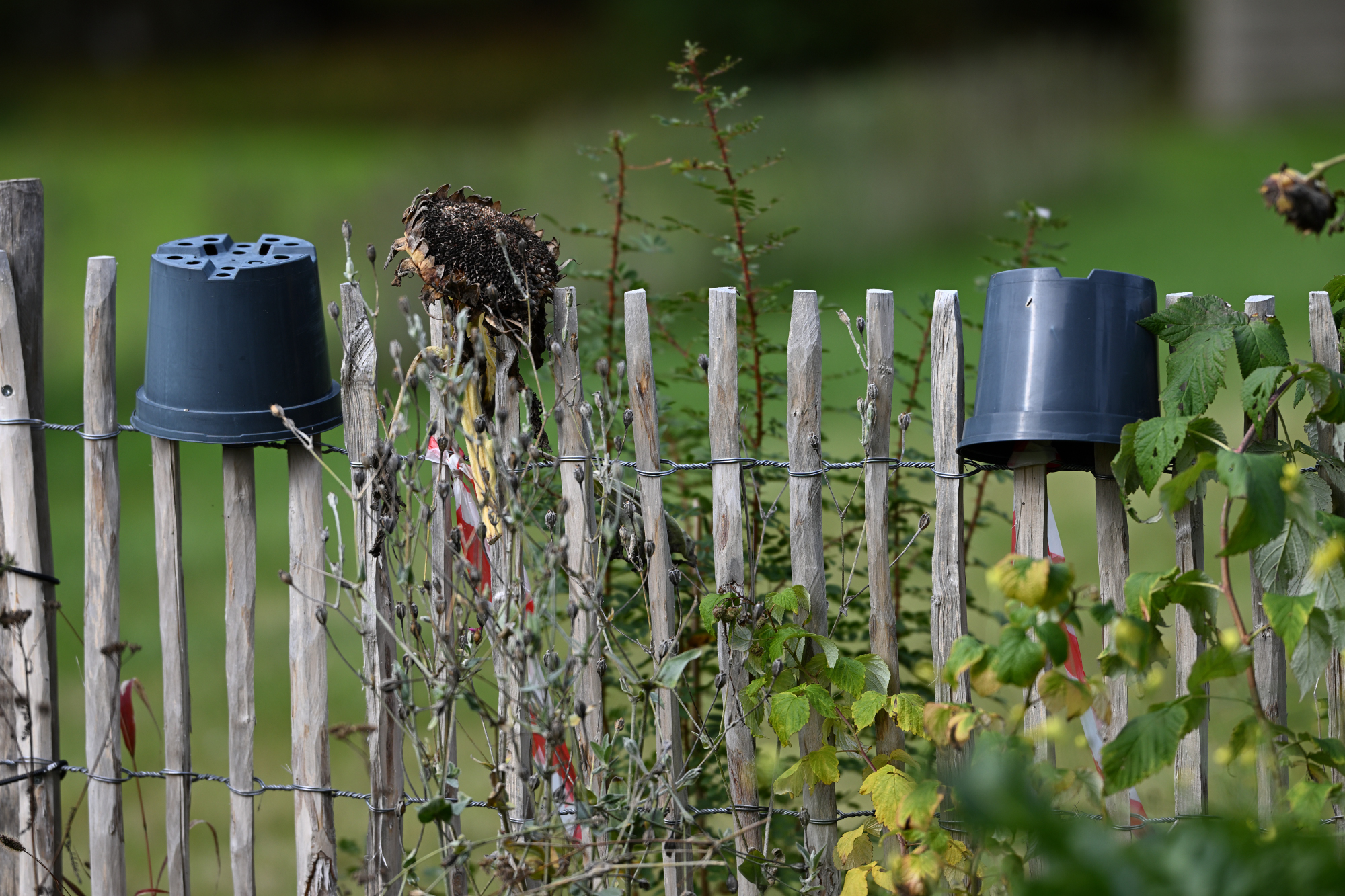 64 Gartenzaun im Herbst