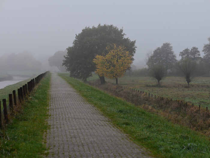 91 Weg im Herbstnebel