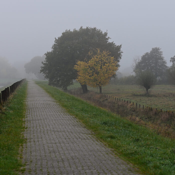 91 Weg im Herbstnebel