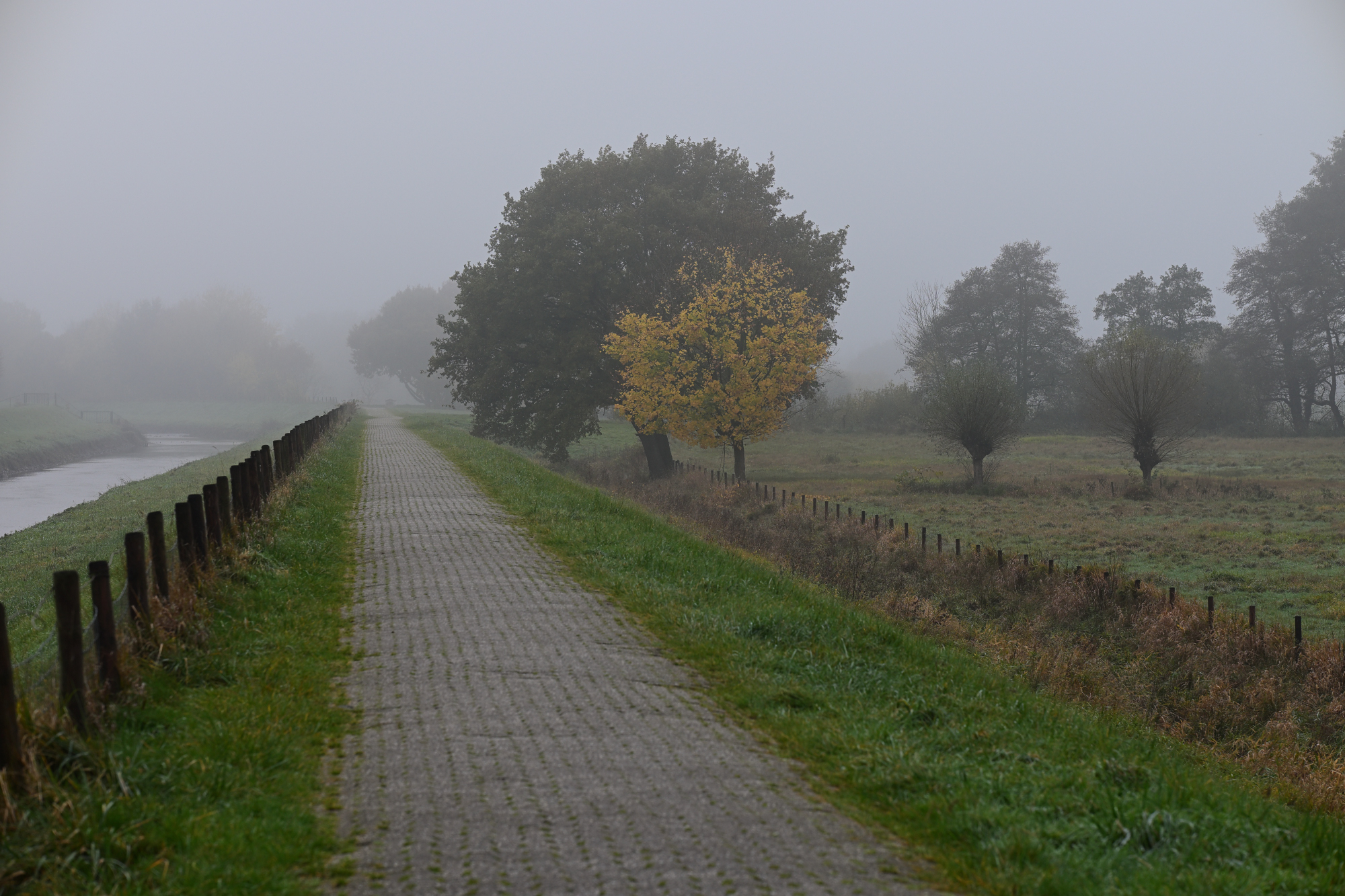 91 Weg im Herbstnebel