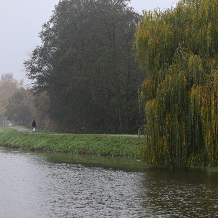 95 Herbstspaziergang