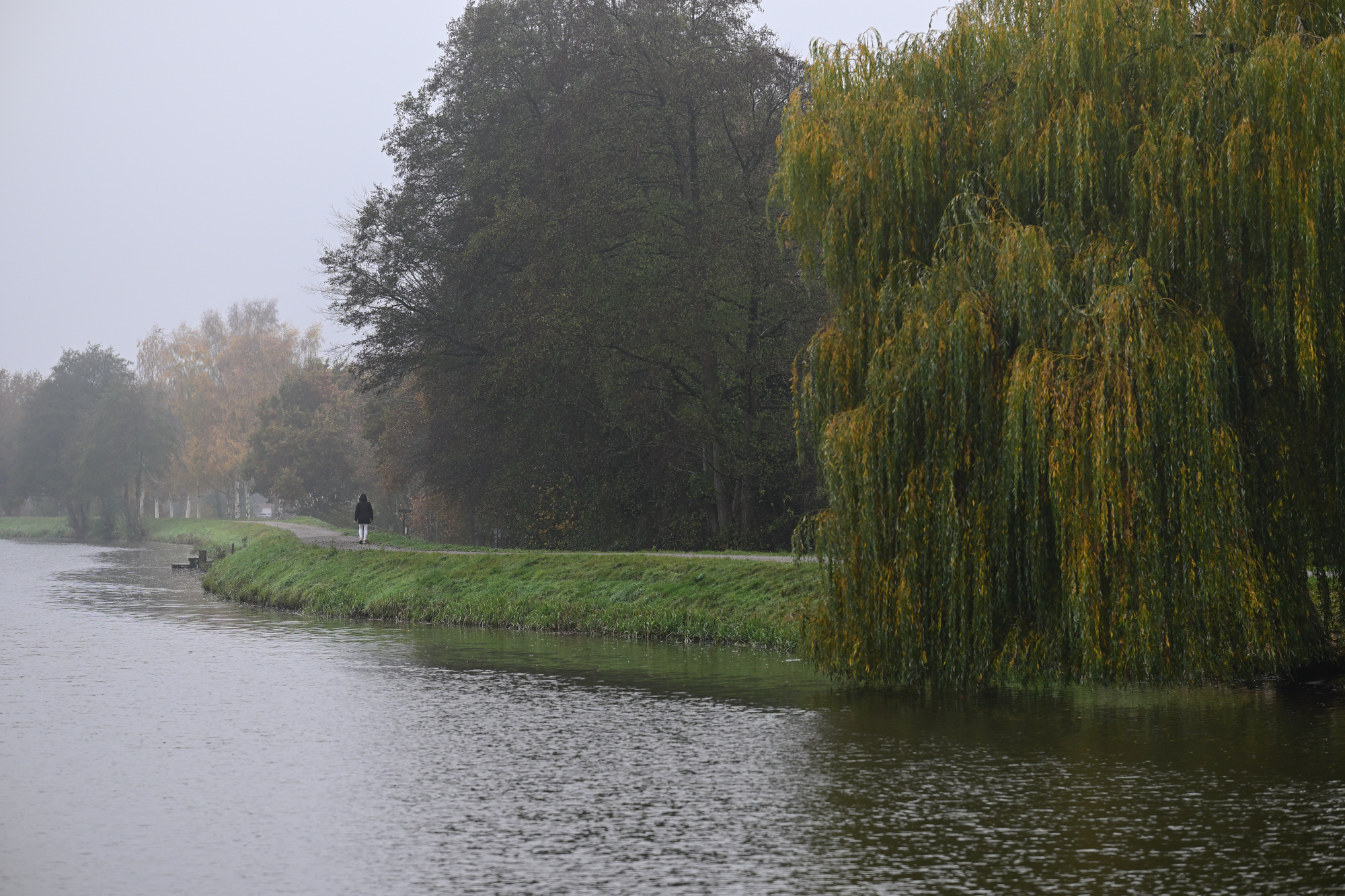95 Herbstspaziergang