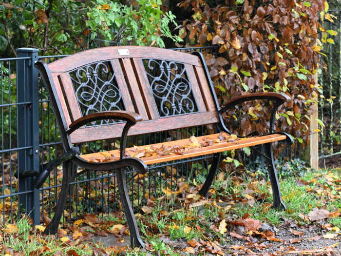 92 Parkbank mit Herbstlaub