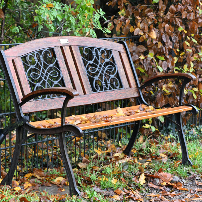 92 Parkbank mit Herbstlaub