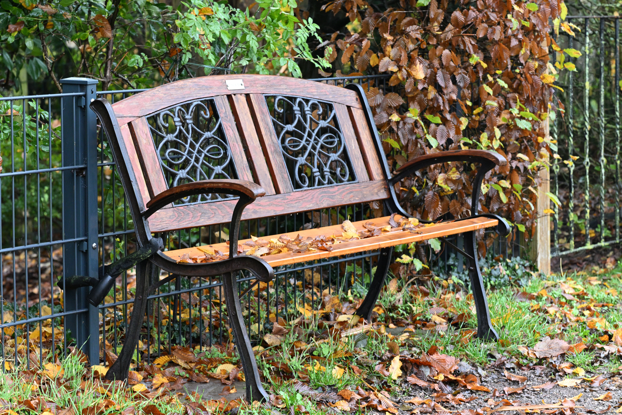 92 Parkbank mit Herbstlaub