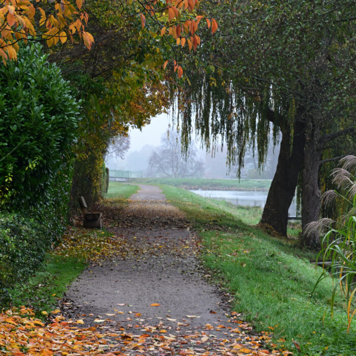 93 Weg mit Herbstlaub