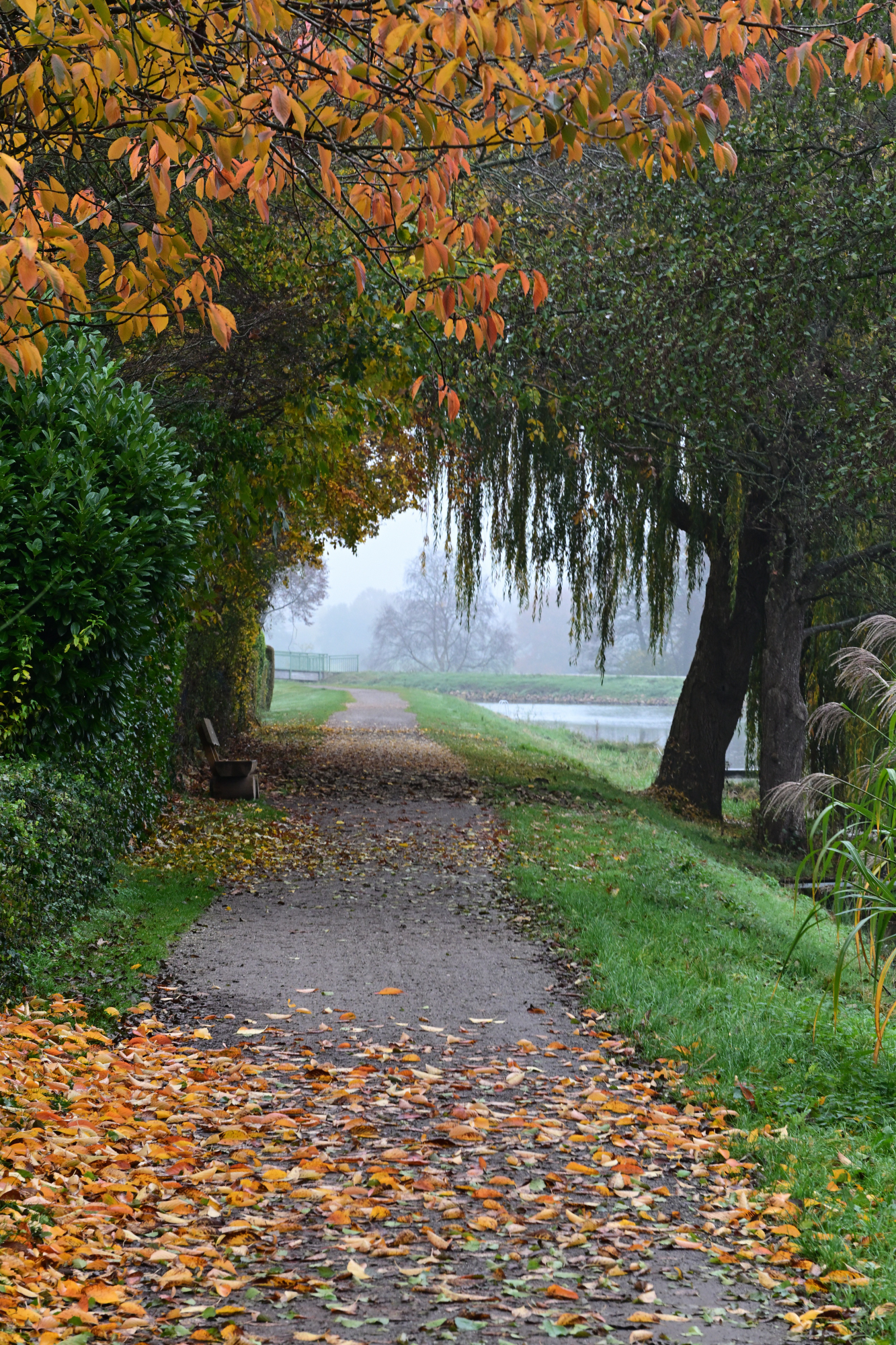 93 Weg mit Herbstlaub