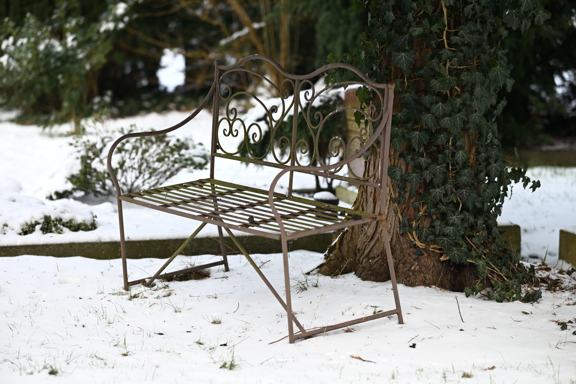 165 Metallsitzbank auf einem Friedhof